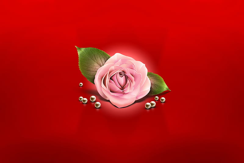 my sunshine, red, i love you, rose, love, HD wallpaper