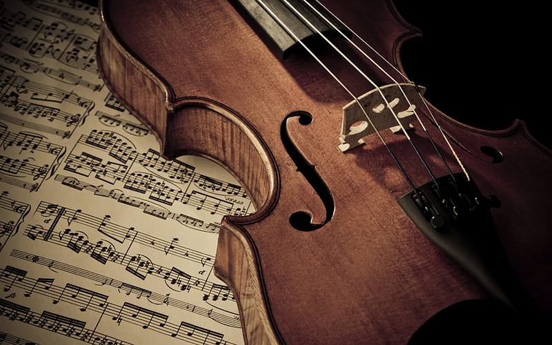 wooden violin, musical instrument, music concepts, violin, musical notes, HD wallpaper