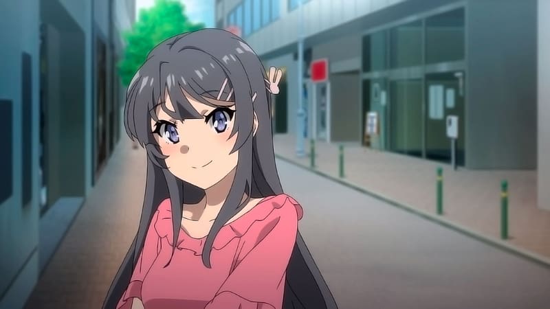 Anime, Blue Eyes, Grey Hair, Mai Sakurajima, Rascal Does Not Dream Of Bunny Girl Senpai, HD wallpaper