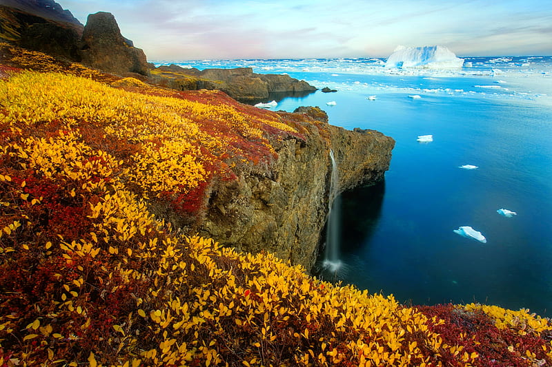 Arctic eden, shore, arctic, view, ocean, iceberg, bonito, sky, eden, wildflowers, waterfall, ice, landscape, coast, HD wallpaper