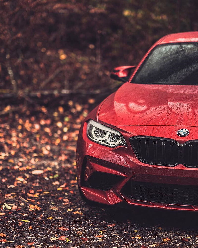 BMW M2, autumn, car, competition, coupe, f87, m power, red, vehicle, HD phone wallpaper