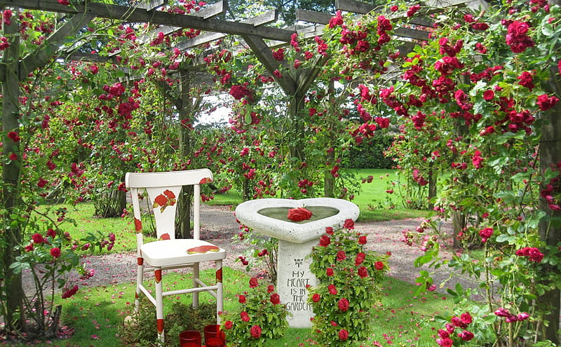 Garden of roses, red, birddath, romantic, home, roses, flowers, garden, chair, white, HD wallpaper