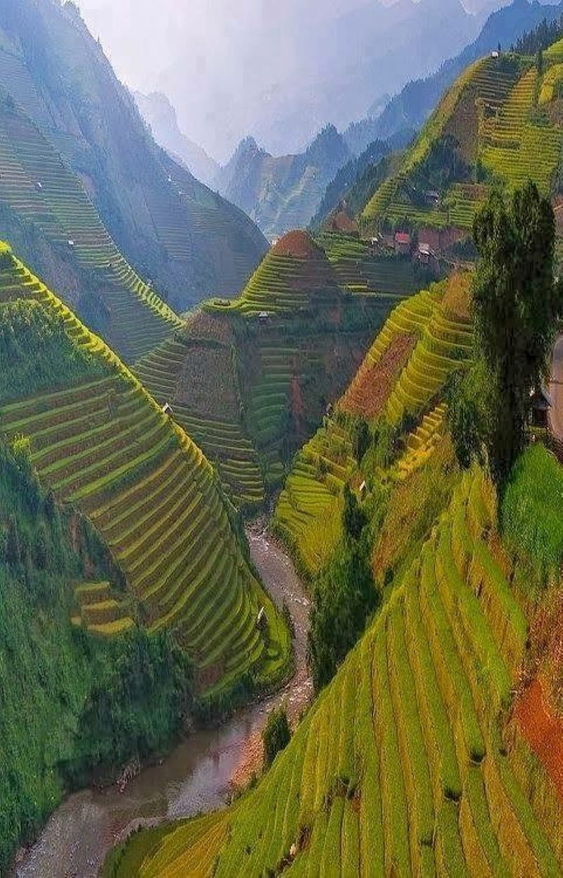 vietnam, landscape, paysage, HD phone wallpaper