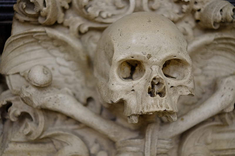 closeup of human skull, HD wallpaper