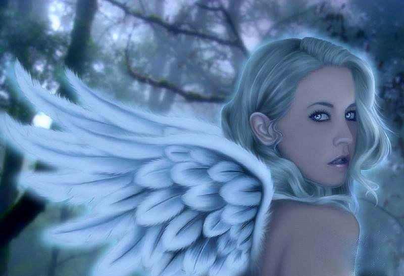 720p Free Download Winter Angels Wings Love Four Seasons Attractions In Dreams Creative 4128