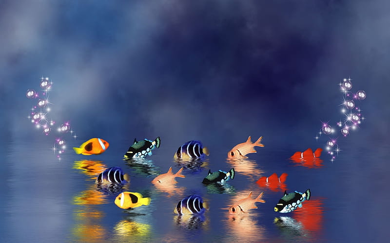 3D Fish Tank Wallpaper (59+ images)