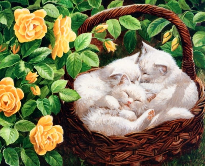 Sleeping in the garden, fluffy, dreams, bonito, adorable, sweet, leaves, nice, painting, flowers, kitties, comfortable, animals, art, cozy, lovely, kittens, pets, roses, sleeping, yard, cute, basket, summer, garden, funny, nature, petals, cats, HD wallpaper