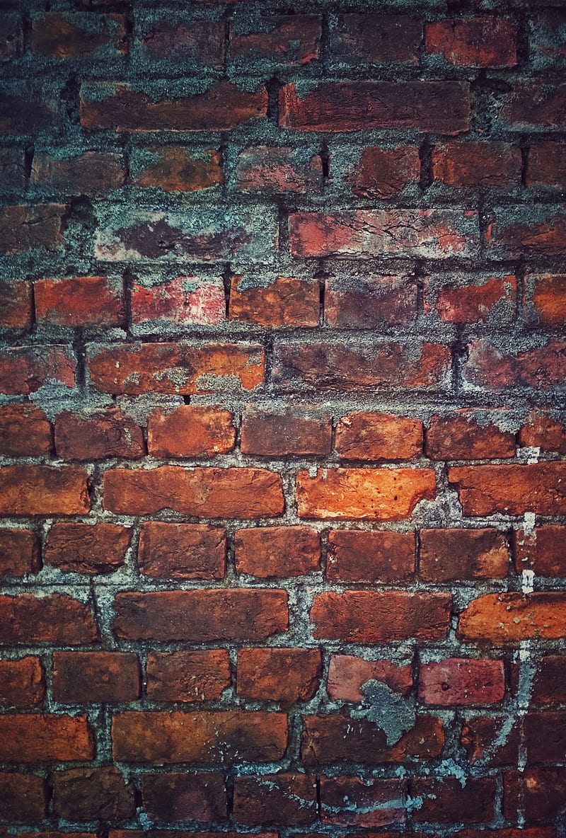 bricks, wall, old, texture, HD phone wallpaper