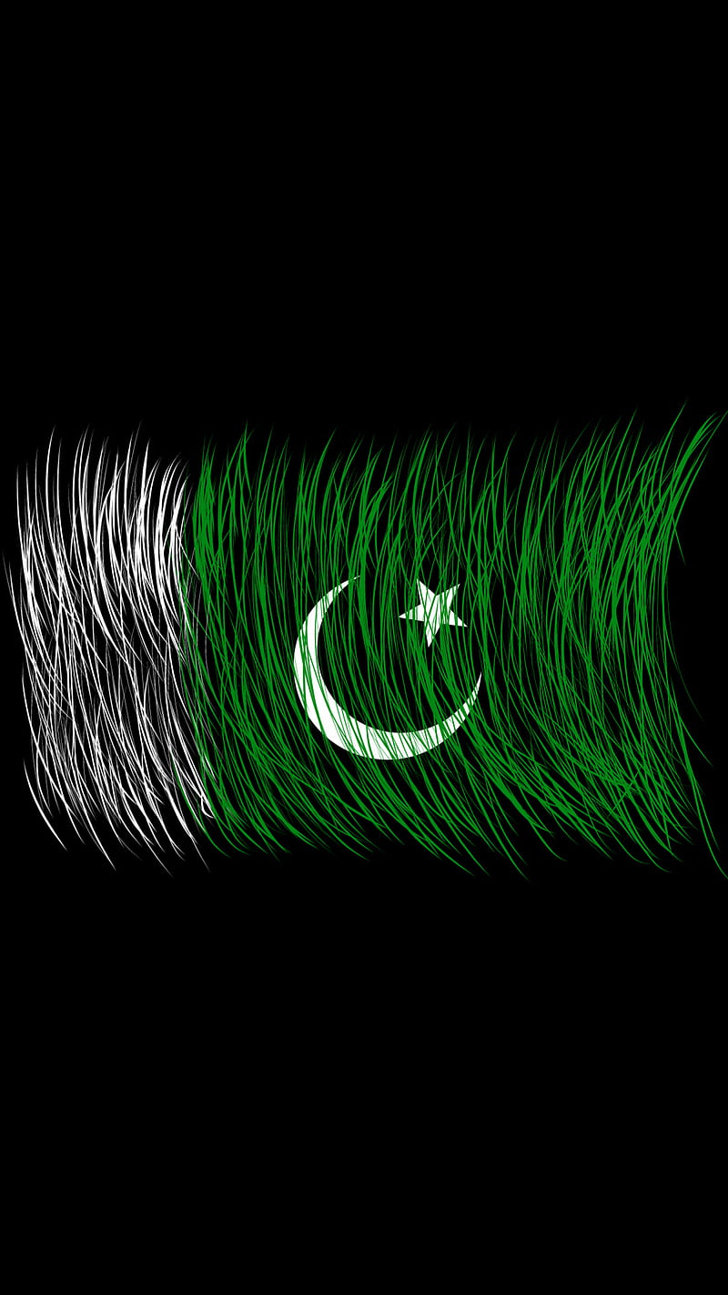 Pakistan Flag Brush, 14 august, amoled, black, independence, HD phone  wallpaper | Peakpx