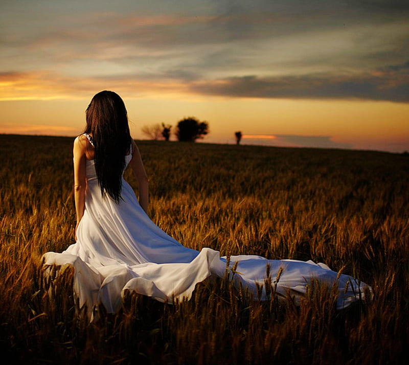 summer time, alone, brunettes, girl, lonely, meadow, sadness, sunset, HD wallpaper