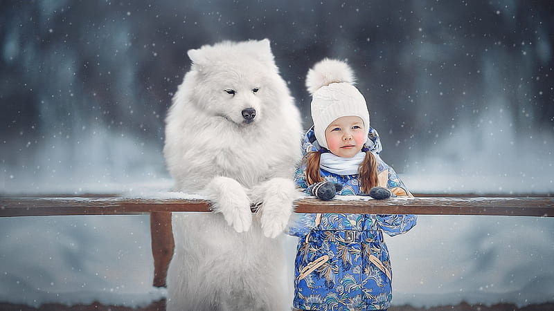Cute Little Girl Is Standing Near White Dog Wearing Blue Dress And White Woolen Knitted Cap Cute, HD wallpaper
