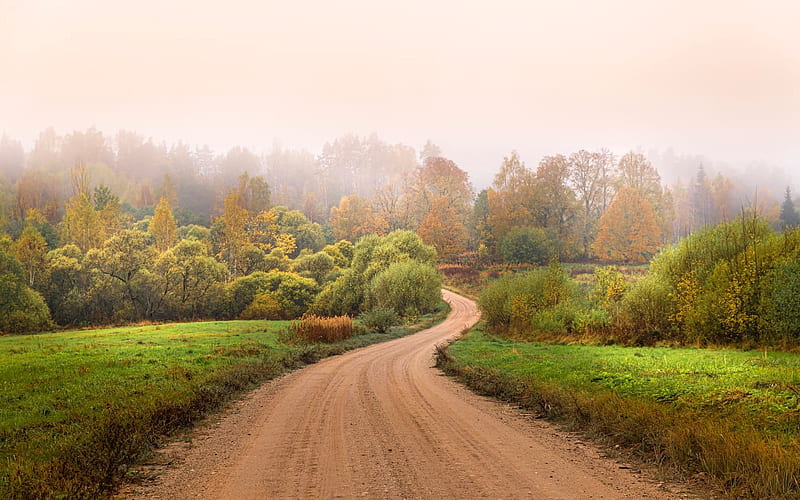 Misty Autumn, Latvia, autumn, road, mist, HD wallpaper | Peakpx