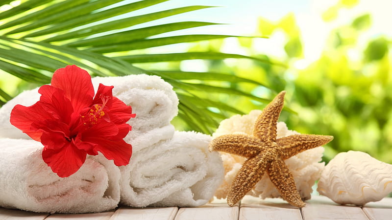 Spa - set, Starfish, Flowers, Sunshine, Towels, HD wallpaper