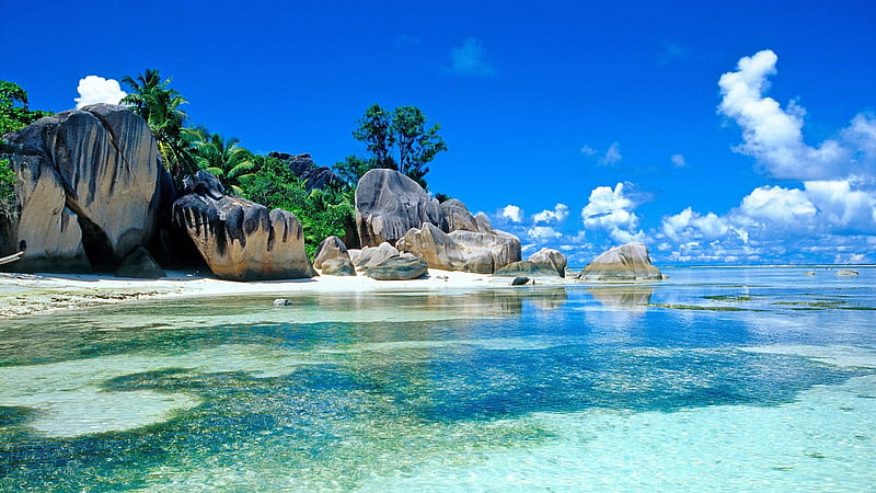 Tropical Beach, beach, rocks, nature, palm, trees, clouds, sky, sea, HD wallpaper