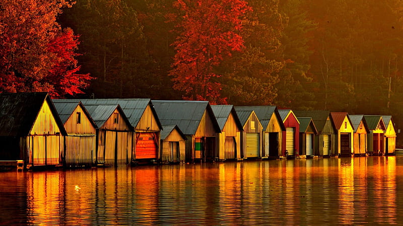 BOAT HOUSES at DAWN, forest, autumn, boathouse, maples, natural world, lake, boating, countryside, leaves, cottages camps, fresh water, morning, canada, HD wallpaper