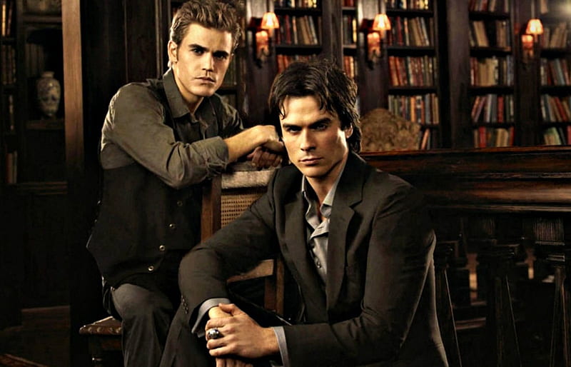 Stefan and Damon, ian somerhalder, vampire diaries, man, damon, fantasy, paul wesley, tv series, stefan, actor, HD wallpaper