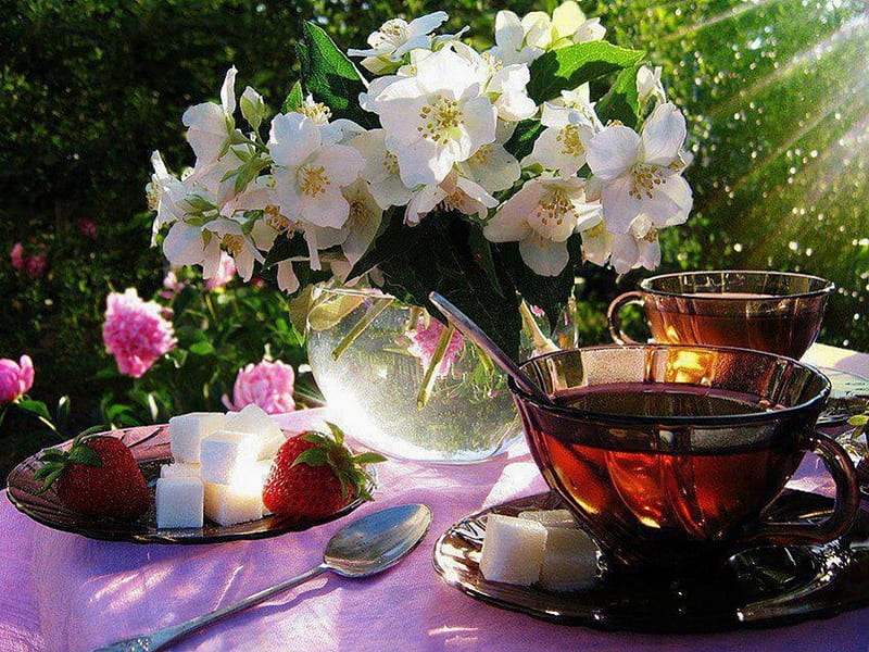 Tea Time, spoon, beautiful colours, sugar, breakfast, tea, strawberry vase of beautiful white flowers, beautiful nature, cup, HD wallpaper