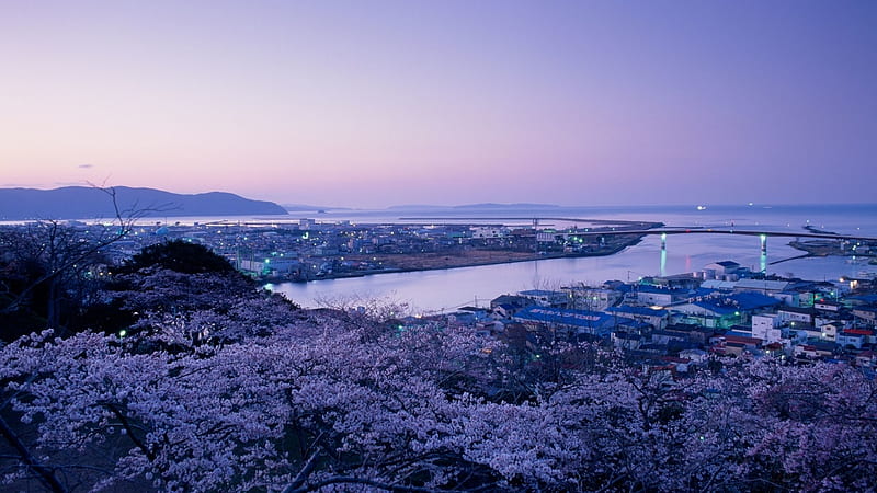 Mt. Hiyoriyama Observatory, japanese, ocean, sky, hiyoriyama, mountain, japan, city, observatory, village, nature, scenery, HD wallpaper