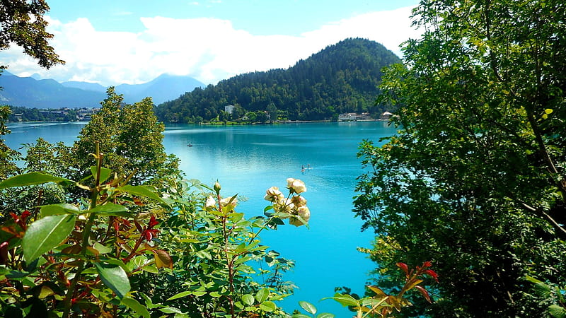 Lake Bled - Slovenia, view, summer, spring, reflection, lake, Slovenia, blue, Bled, bonito, mountain, HD wallpaper