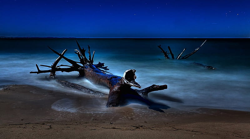 beached driftwood on a starry night, driftwood, beach, stars, sea, night, HD wallpaper