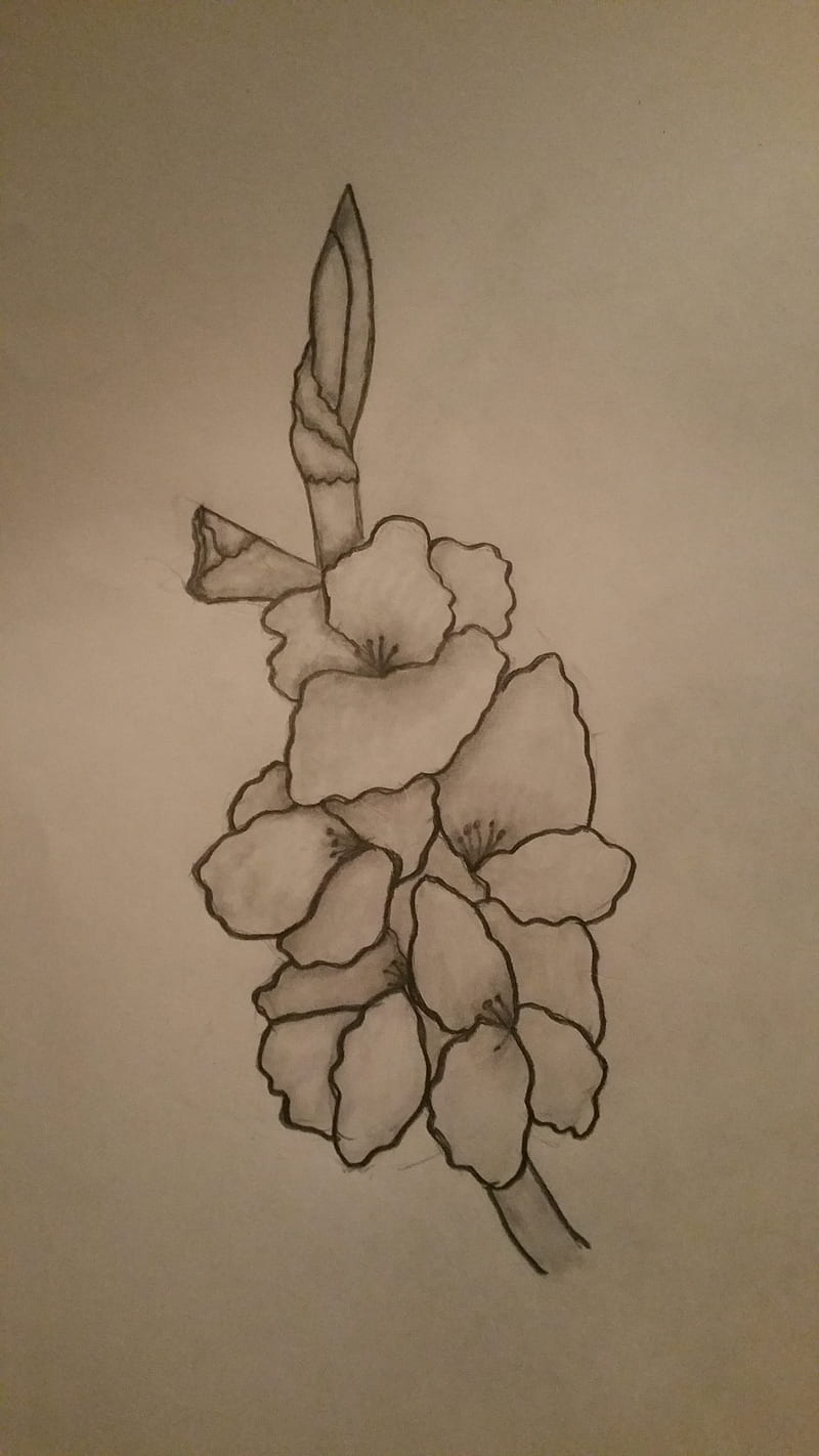 Gladiolus flower on Behance