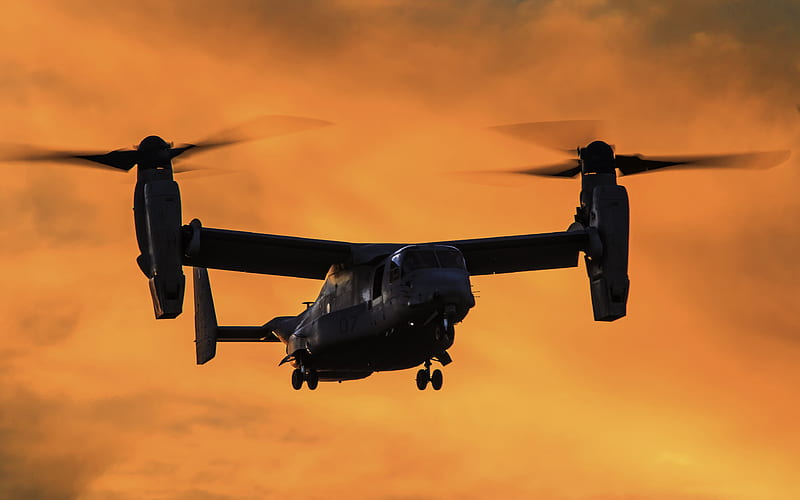 Bell V-22 Osprey, sunset, convertoplan, Osprey, combat aircraft, US Army, Bell, HD wallpaper