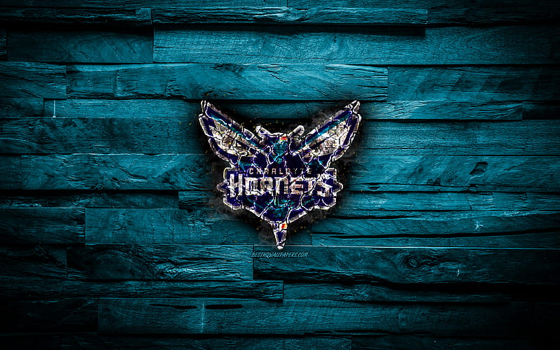 Charlotte Hornets scorched logo, NBA, blue wooden background, american basketball team, Eastern Conference, grunge, basketball, Charlotte Hornets logo, fire texture, USA, HD wallpaper