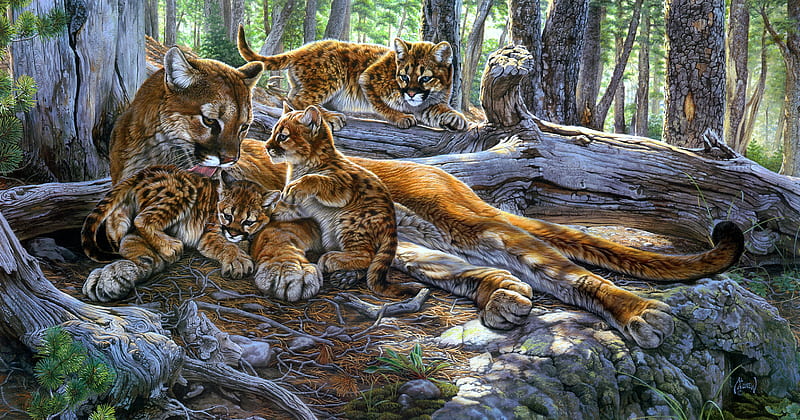 Cougars, cub, al agnew, mountain lion, puma, animal, family, art, frumusete, cougar, painting, pictura, HD wallpaper