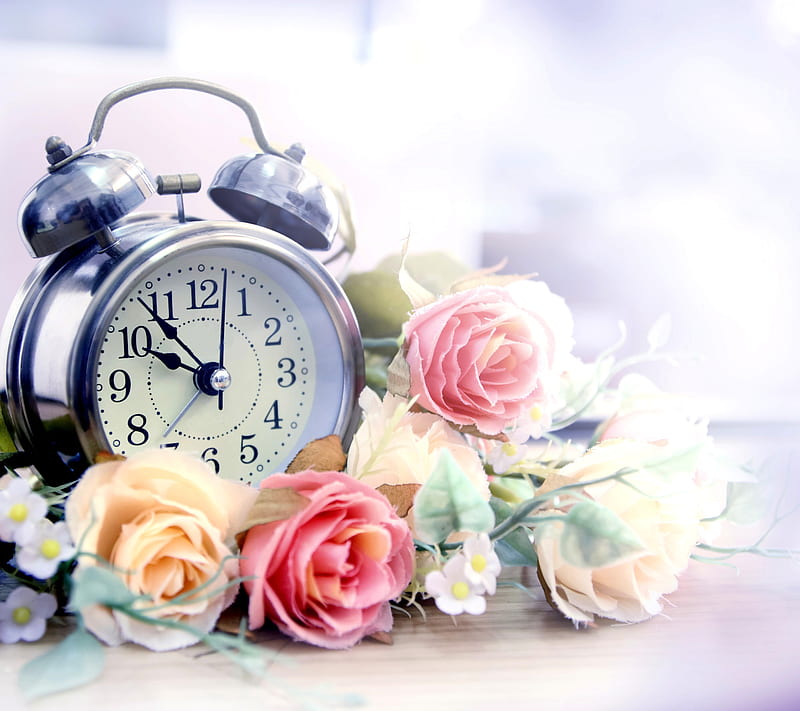 Alarm clock, bonito, flowers, HD wallpaper