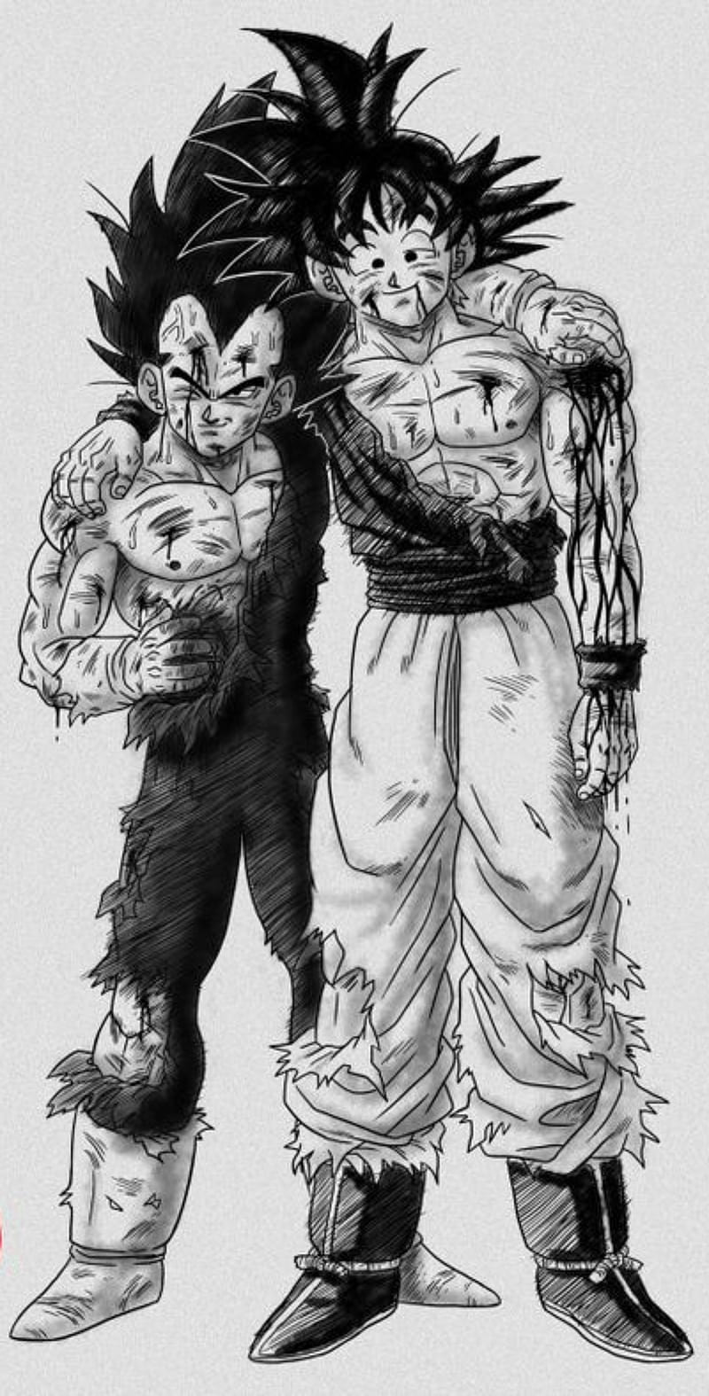 Goku And Vegeta By Sbddbz  Goku And Vegeta Drawing Transparent PNG   900x510  Free Download on NicePNG