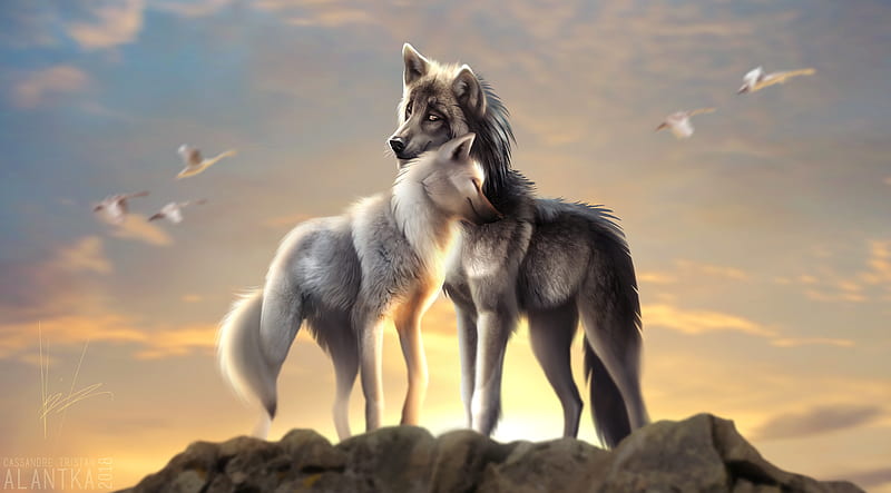 Wolves Love, wolf, artist, artwork, digital-art, HD wallpaper