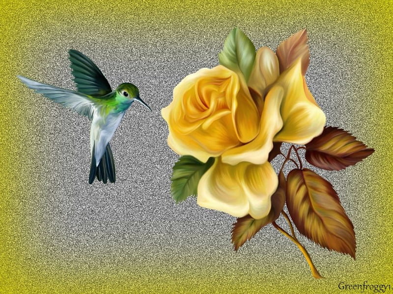 ROSE WITH HUMMING BIRD, BIRD, CREATION, ROSE, ABSTRACT, HD wallpaper