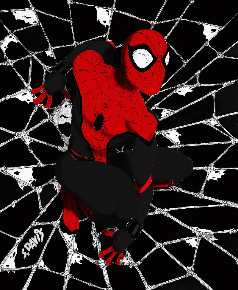 Superior Spidey, spider man, peter, parker, marvel, comics, HD phone  wallpaper | Peakpx