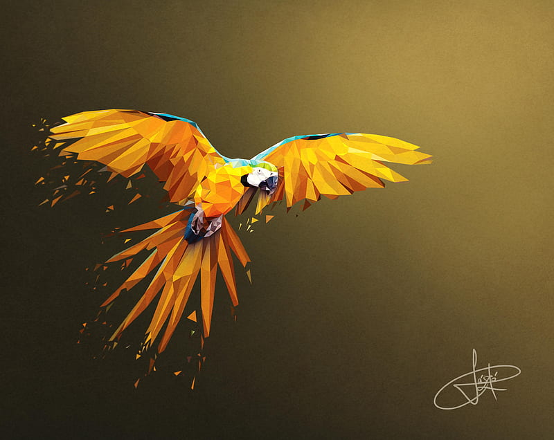 Macaw Low Poly Digital Art , parrot, macaw, birds, artist, artwork, digital-art, HD wallpaper
