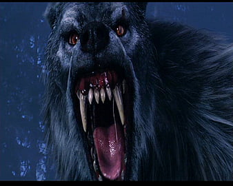 Werewolf, fantasy, movie, van helsing, creature, HD wallpaper | Peakpx