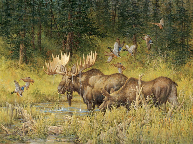 Larry Fanning - October Rendezvous, art, grass, painting, larry fanning, animal, deer, HD wallpaper