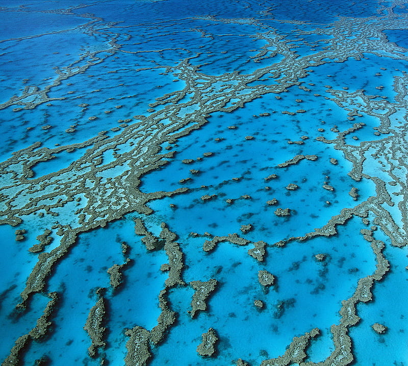 Hardy Reef, australia, great barrier reef, queensland, HD wallpaper