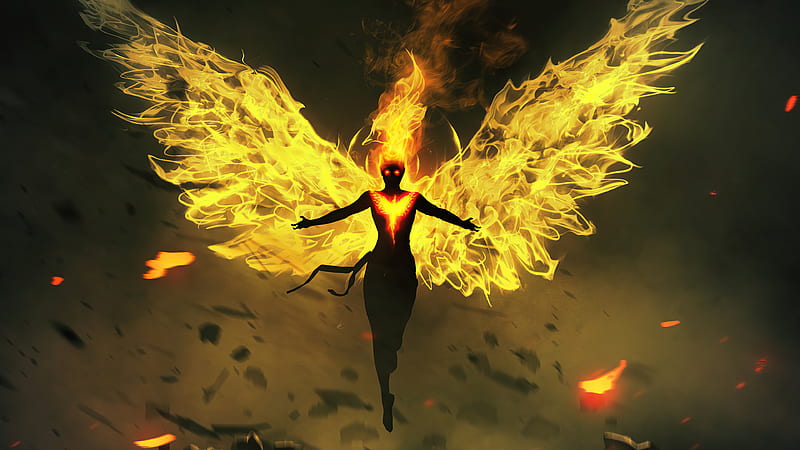Phoenix on Fire Art, HD wallpaper