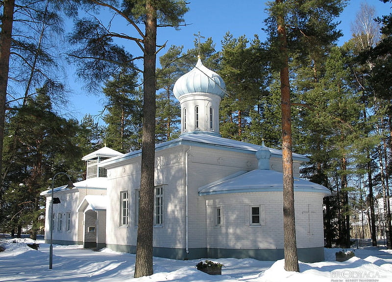 White Church, snow, dome, white, church, trees, scandinavia, HD wallpaper