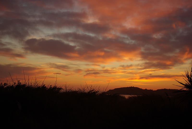 hills, grass, silhouettes, evening, sunset, HD wallpaper