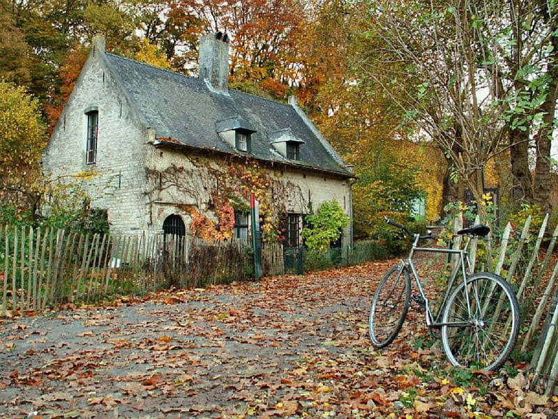 A charming little cottage somewhere in France., fence, fall, autumn, house, cottage, leaf, tree, france, path, bike, road, HD wallpaper