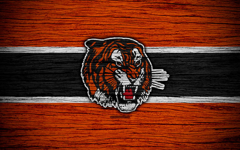 Medicine Hat Tigers, logo, WHL, hockey, Canada, emblem, wooden texture, Western Hockey League, HD wallpaper