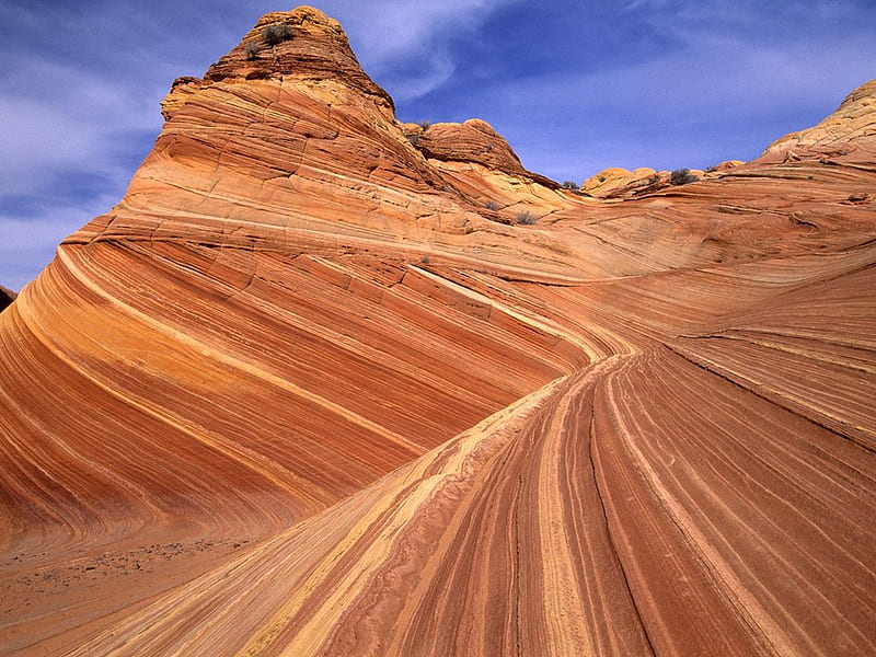 Striations in the Sandstone, Paria Canyon, Arizona, usa, arizona, paria canyon, nature, canyons, HD wallpaper