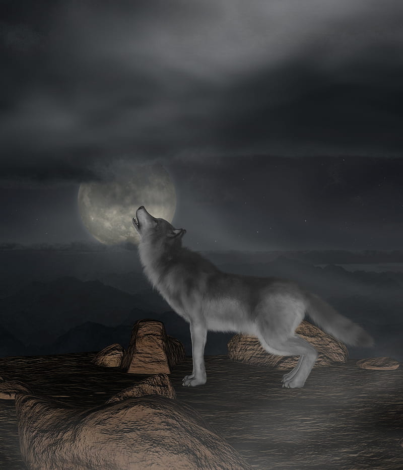 Wolf Moon Night Mountains Art Hd Wallpaper Peakpx