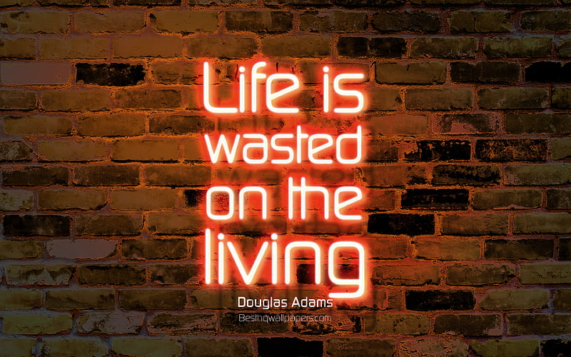 Life is wasted on the living orange brick wall, Douglas Adams Quotes, popular quotes, neon text, inspiration, Douglas Adams, quotes about life, HD wallpaper