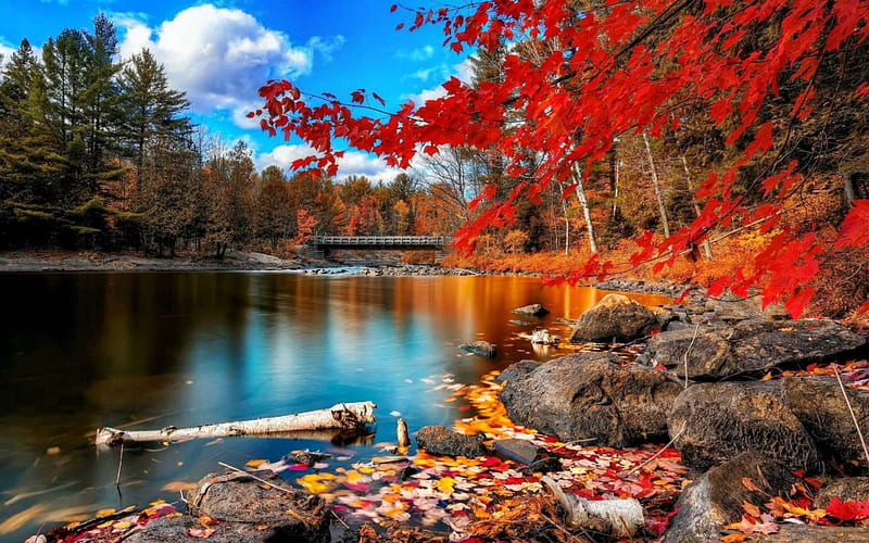 1920x1080px, 1080P free download | An autumn day, nature, trees, lake ...