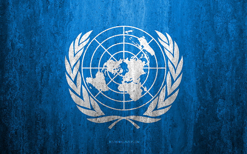 Flag of United Nations stone background, grunge flag, international organizations, UN flag, grunge art, symbols, United Nations, stone texture, HD wallpaper