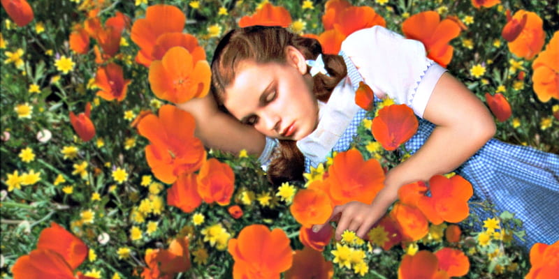 Dorothy In Wizard Of Oz, Wizard, Poppies, Field, Flowers, Sleeping, Dorothy, Oz, HD wallpaper