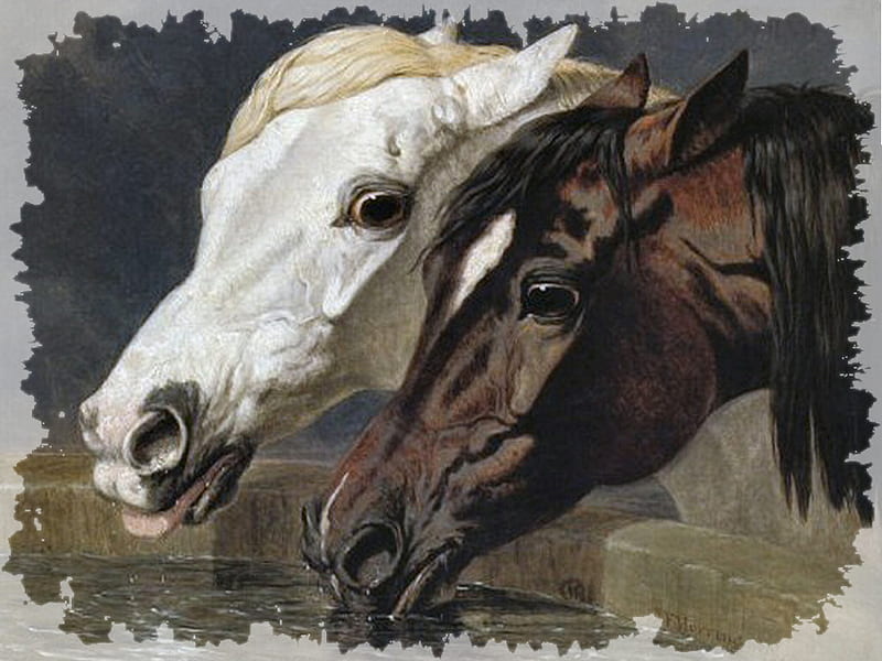 A Grey and a Dark Bay - Horses F, art, gray, equine, horse, artwork, animal, heads, painting, gris, john frederick herring sr, herring, white, bay, HD wallpaper
