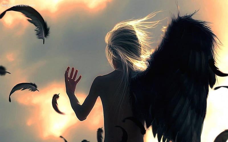 angel with one wing, fantasy, graphy, animation, people, entertainment, bonito, other, HD wallpaper